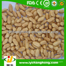 Fried Groundnuts Kernels